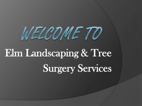 Arborist & Tree Surgeon in Ennis
