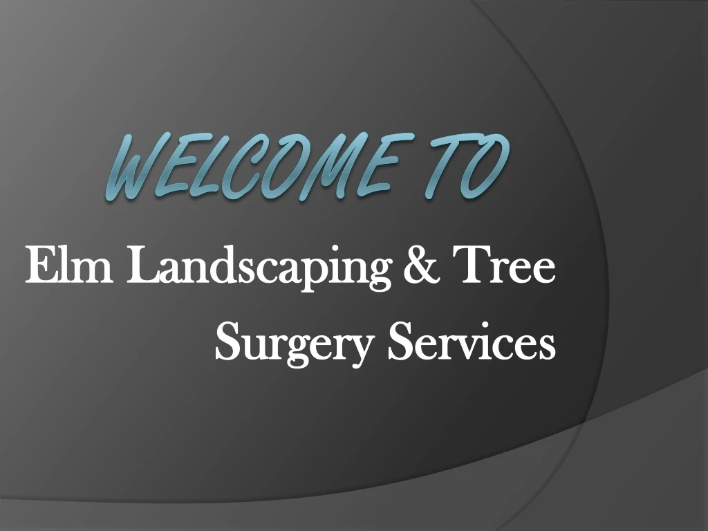 elm landscaping tree surgery services