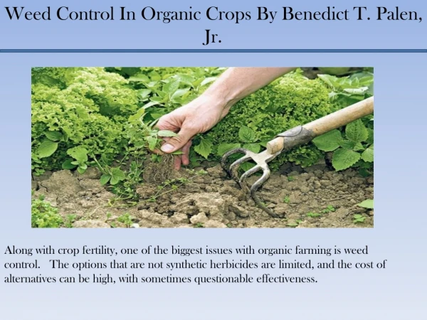 Weed Control In Organic Crops By Benedict T. Palen, Jr.