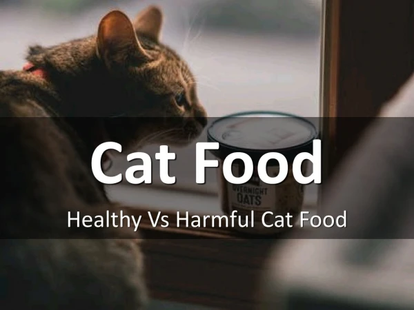 Healthy Vs Harmful Cat Food