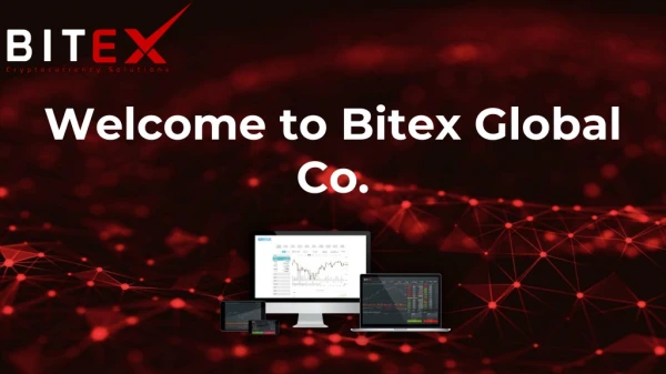 Bitex Crypto Payment Solution | Bitex Global Co.