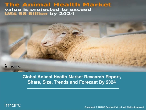 Animal Health Market: Global Industry Trends, Growth, Share, Size, Research Analysis and Forecast Till 2023