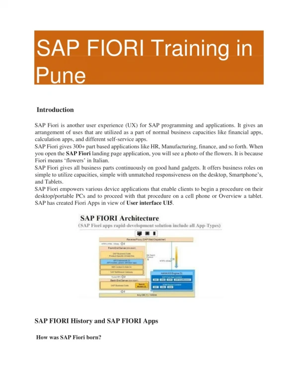 SAP Fiori PDF