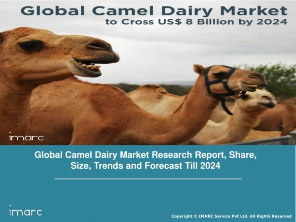Camel Dairy Market Share, Size, Trends, Growth, Demand Analysis and Forecast Till 2023