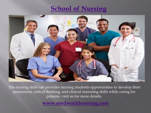 best school of nursing in florida