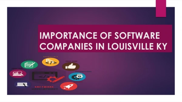 Importance of Software Companies in Louisville KY