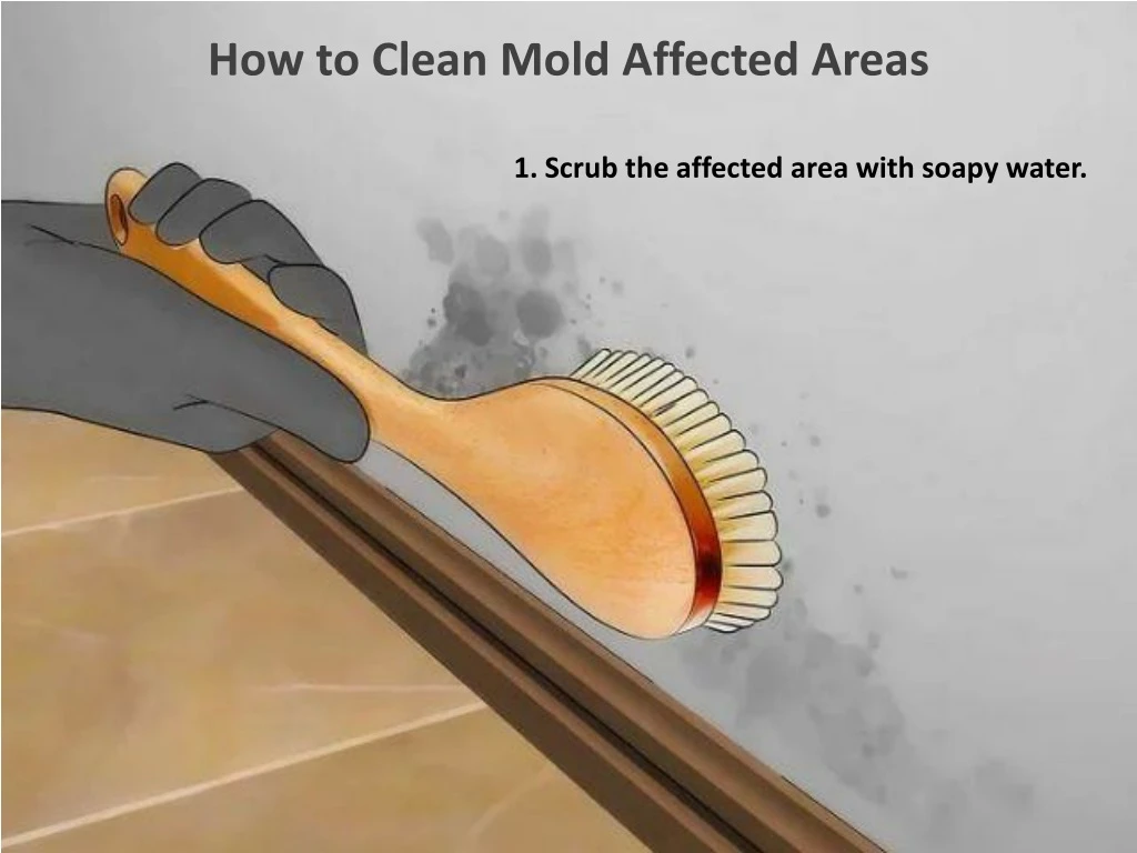 how to clean mold affected areas