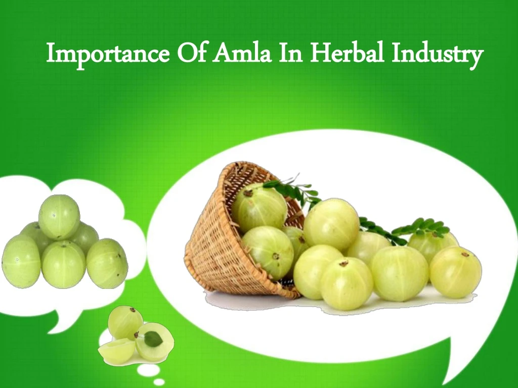 importance of amla in herbal industry importance