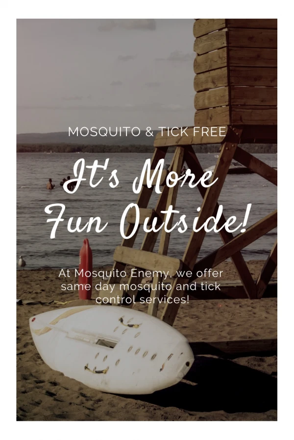 Mosquito Tick Control Massachusetts