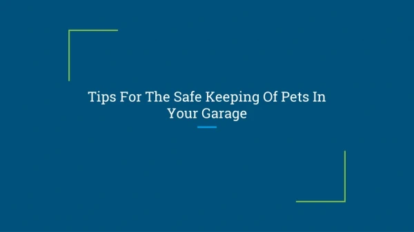 Tips For The Safe Keeping Of Pets In Your Garage