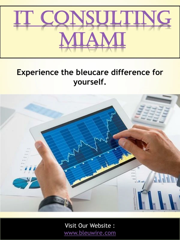 IT consulting Miami