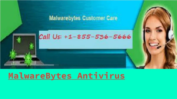 MalwareBytes Helpline Support Number 1-855-536-5666