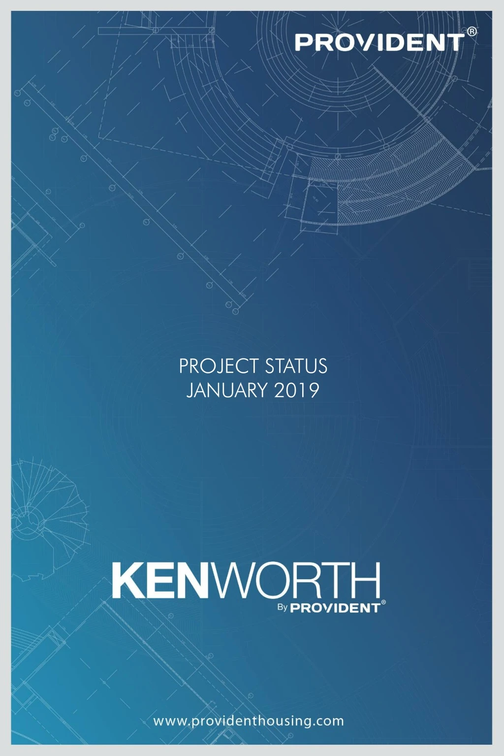project status january 2019