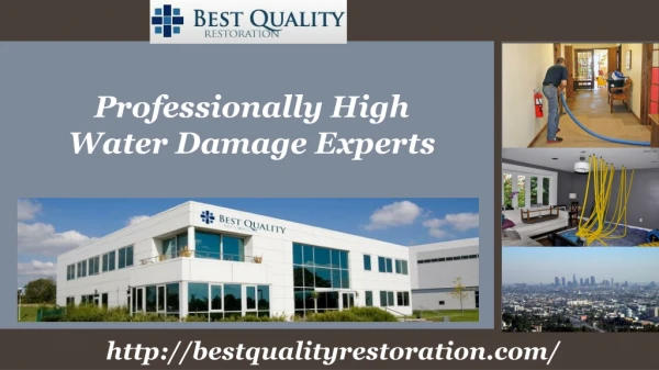 Professionally High Water Damage Experts