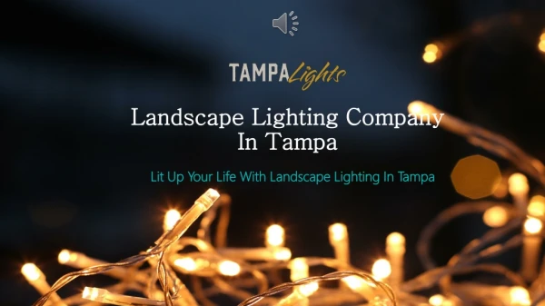 Landscape Lighting in Tampa - Tampa Lights