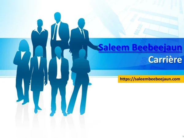 Saleem Beebeejaun Carrière