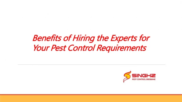 Experts for Your Pest Control Brisbane