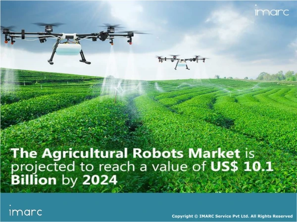 Agricultural Robots Market Share, Size, Region, Key Players and Forecast Till 2024
