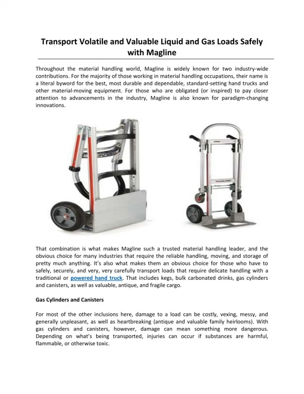 Transport Volatile and Valuable Liquid and Gas Loads Safely with Magline