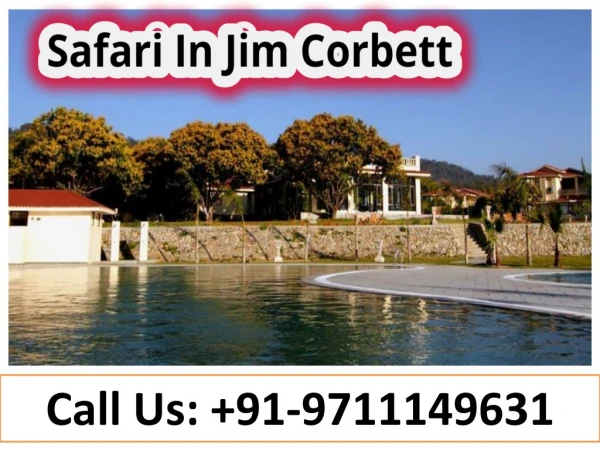 call us 91 9711149631