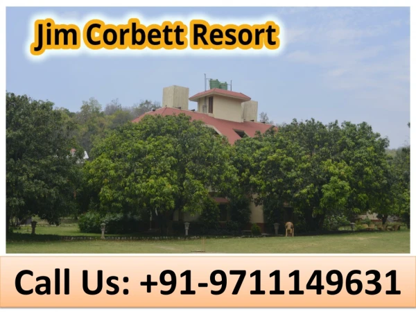 call us 91 9711149631