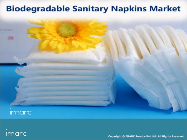 Biodegradable Sanitary Napkins Market Share, Size, Region, Key Players and Forecast Till 2024