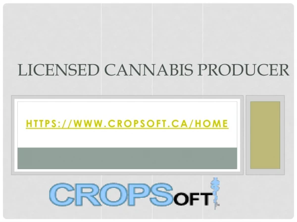 Licensed Cannabis Producer