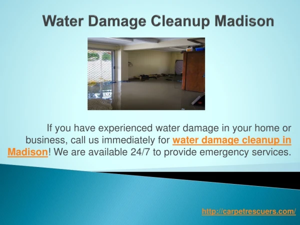 Water Damage Cleanup Madison