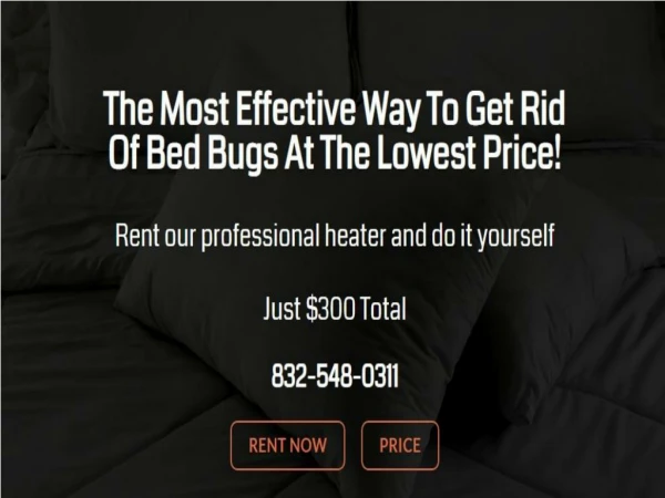 Professional Bed Bugs Exterminator Houston