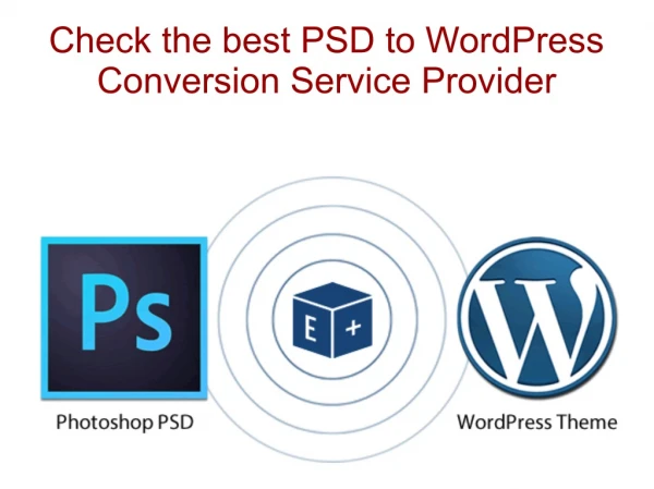 Check the best PSD to WordPress Conversion Service Provider