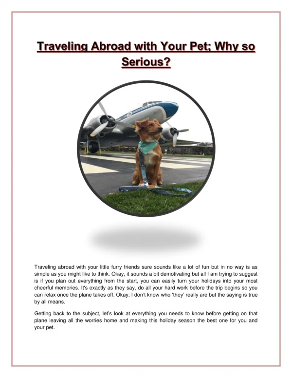 Traveling Abroad with Your Pet; Why so Serious | Doo Care