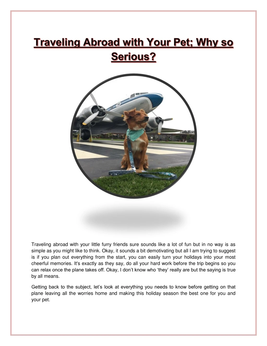 traveling abroad with your little furry friends