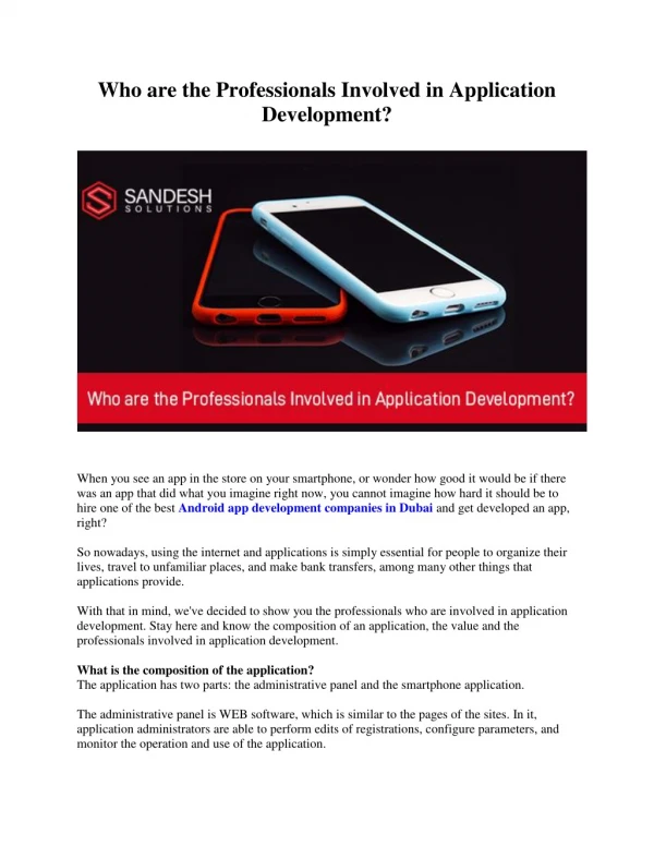 Who are the Professionals Involved in Application Development?