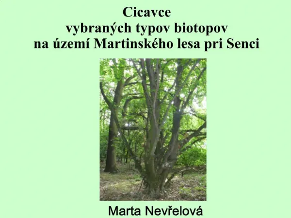 Cicavce vybran ch typov biotopov na zem Martinsk ho lesa pri Senci