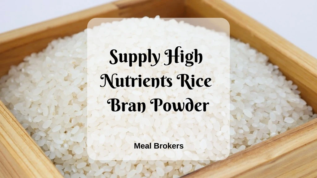 supply high nutrients rice bran powder