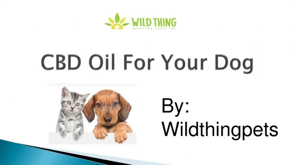 CBD Oil For Your Dog