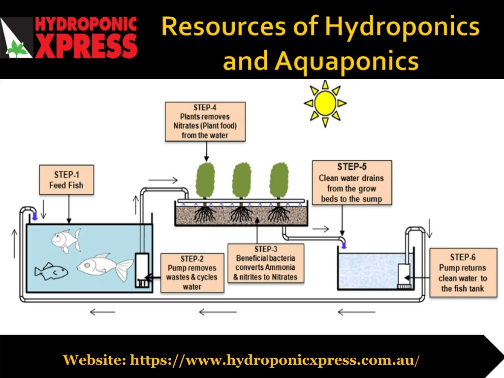resources of hydroponics and aquaponics