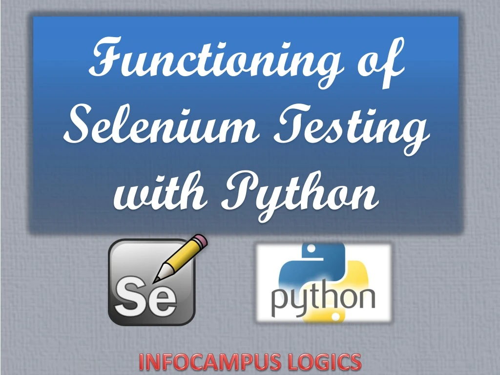 functioning of selenium testing with python