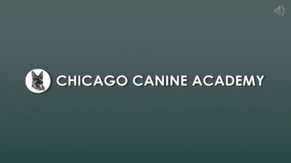 Best Dog Training Classes In Chicago, IL