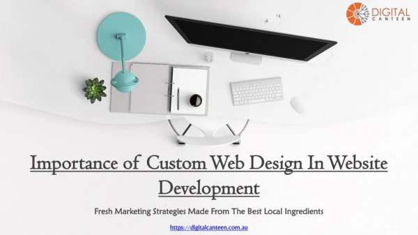 Importance of Custom Web Design in Website Development