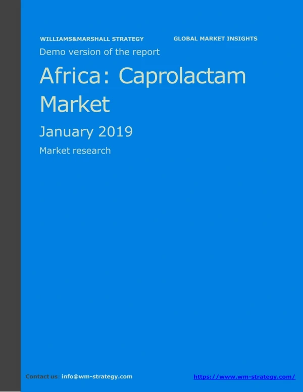 WMStrategy Demo Africa Caprolactam Market January 2019