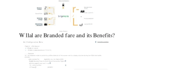What are Branded fare and its Benefits?