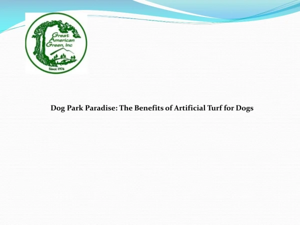 Dog Park Paradise The Benefits of Artificial Turf for Dogs