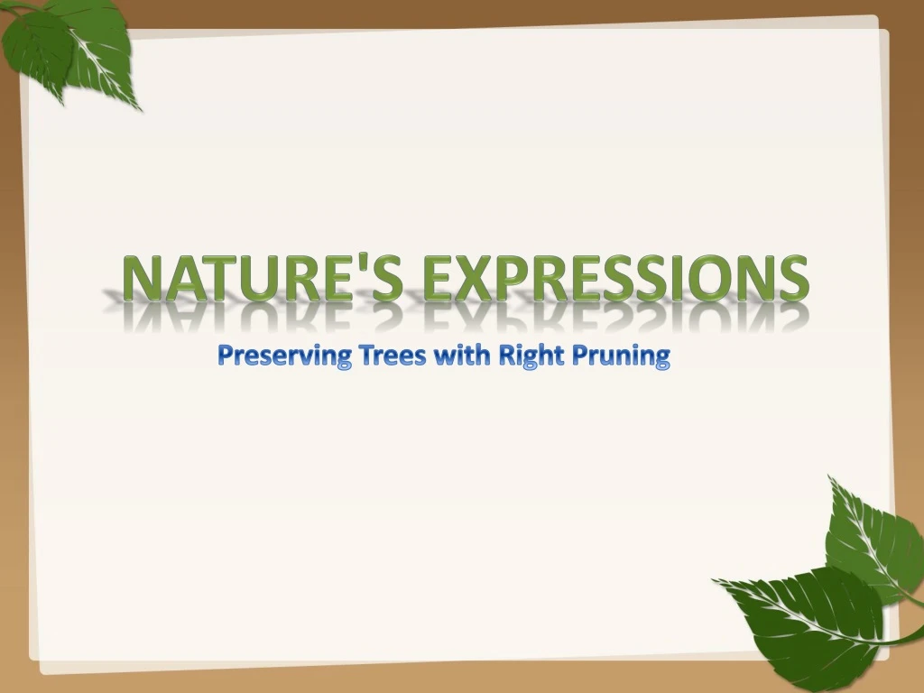 nature s expressions