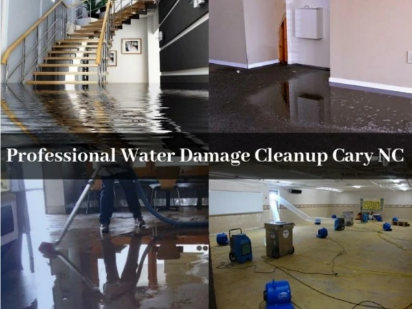 Professional Water Damage Cleanup Cary NC