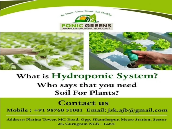 hydroponic in india- ponic greens- hydroponic shop in india