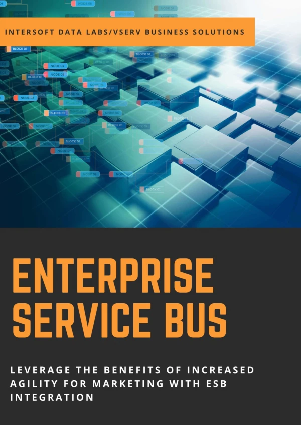 Enterprise Service Bus - Intersoft Data Labs/VServ Business Solutions