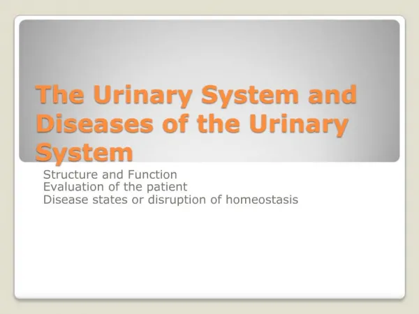 The Urinary System and Diseases of the Urinary System
