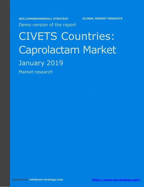 WMStrategy Demo CIVETS Countries Caprolactam Market January 2019