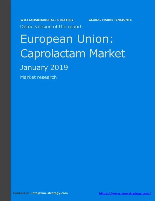 WMStrategy Demo European Union Caprolactam Market January 2019